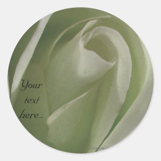 White Rose Wedding Stickers/Round Labels (Voorkant)