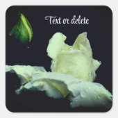 White Rosebud After Rain Personalized Vierkante Sticker (Voorkant)