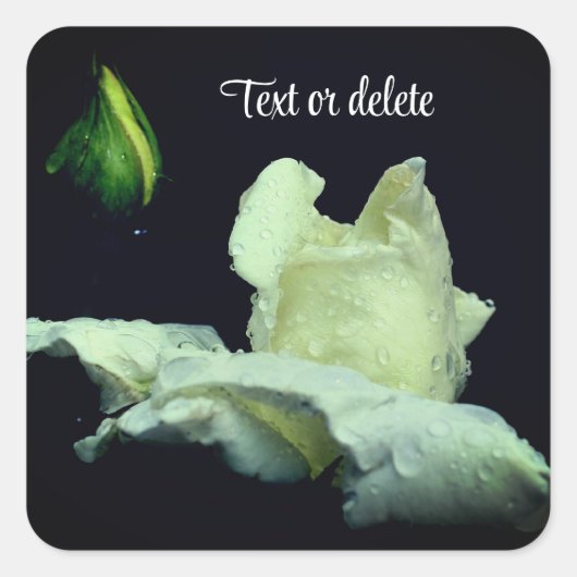 White Rosebud After Rain Personalized Vierkante Sticker (Voorkant)