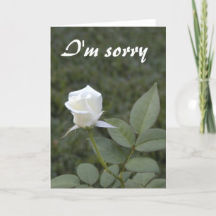White rosebud apology card kaart