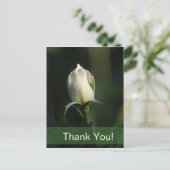 White Rosebud Briefkaart (Staand voorkant)