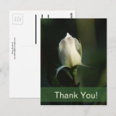 White Rosebud Briefkaart (Voorkant / Achterkant)