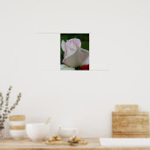 White Rosebud Flower Poster (Keuken)