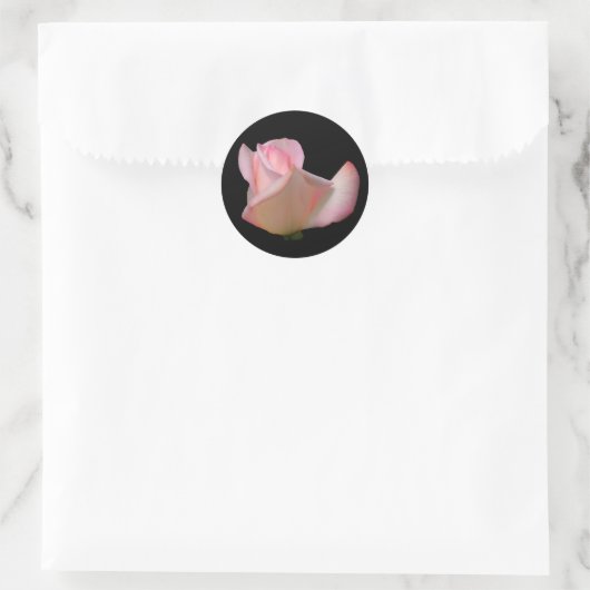 White Rosebud Flower Ronde Sticker (Tas)