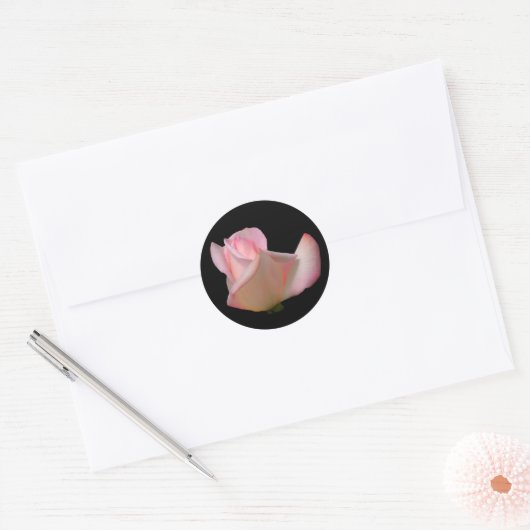 White Rosebud Flower Ronde Sticker (Envelop)