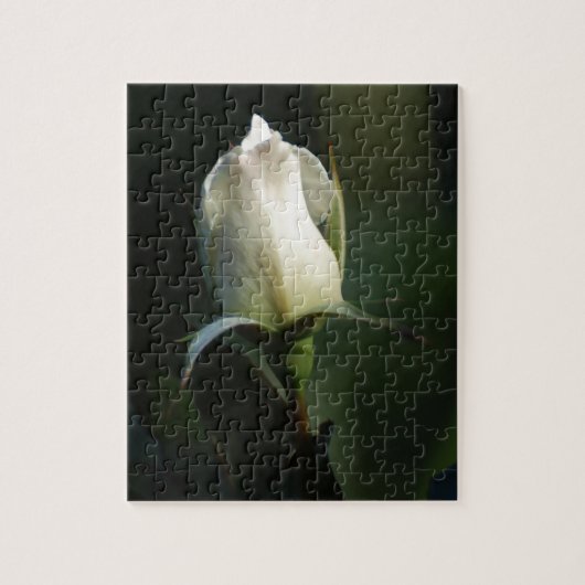 White Rosebud Legpuzzel (Verticaal)