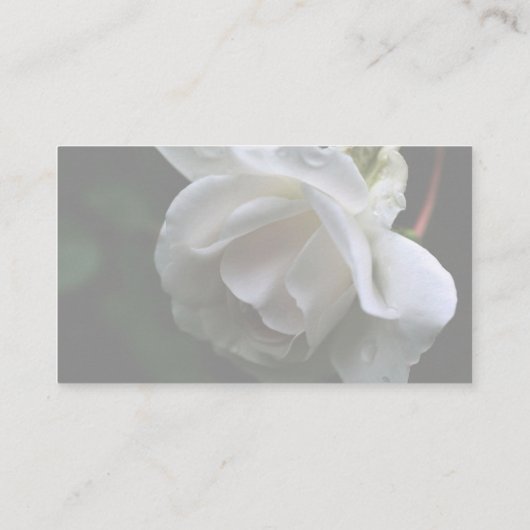 White Rosebud Raindrops Floral Visitekaartje (Achterkant)