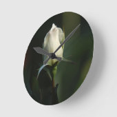 White Rosebud Ronde Klok (Hoek)
