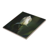 White Rosebud Tegeltje (Zijkant)