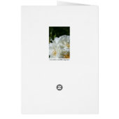 White Roses Floral Photography wenskaart (Achterkant)