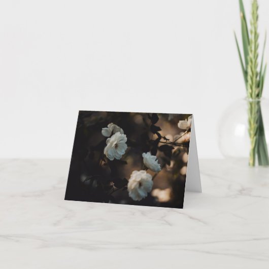 White roses in moody light, Sympathy Kaart (Voorkant)