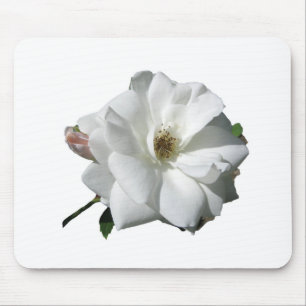 White Roses Party Douche Bruidsbloemen Destiny Muismat