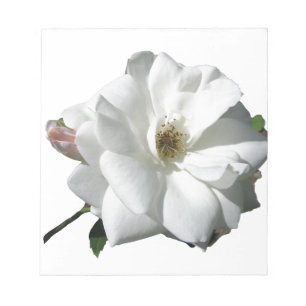 White Roses Party Douche Bruidsbloemen Destiny Notitieblok