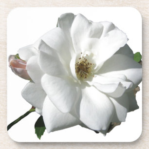 White Roses Party Douche Bruidsbloemen Destiny Onderzetter