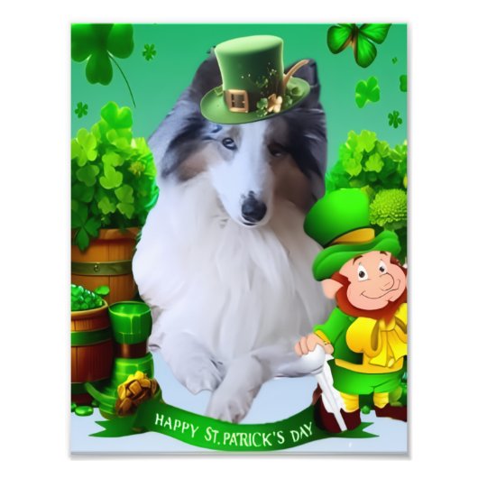 White Rough Collie celebrating St. Patrick's Day Foto Afdruk (Voorkant)