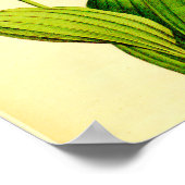 White & Roze Lady Slipper Poster (Hoek)