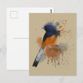 White Rumped Shama Bird Briefkaart (Voorkant / Achterkant)