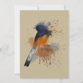 White Rumped Shama Bird Kaart (Voorkant)