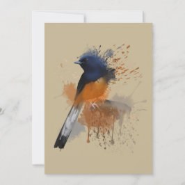 White Rumped Shama Bird Kaart