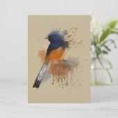 White Rumped Shama Bird Kaart (Staand voorkant)