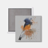 White Rumped Shama Bird Magneet (Voorkant / Achterkant)