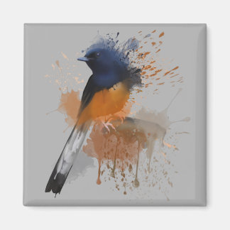 White Rumped Shama Bird Magneet