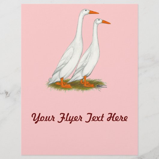 White Runner Ducks Flyer (Voorkant)