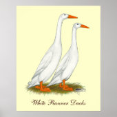 White Runner Ducks Poster (Voorkant)