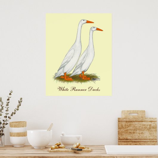 White Runner Ducks Poster (Keuken)
