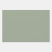 White Sage Green Floral Botanical Gift Inpakpapier Vel (Voorkant 3)
