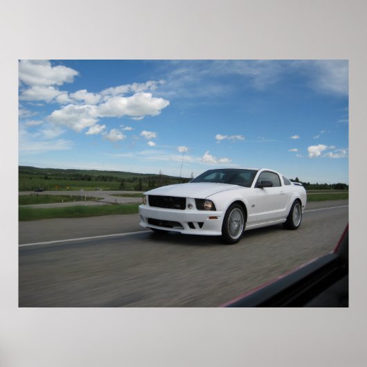White Saleen Mustang Poster (Voorkant)