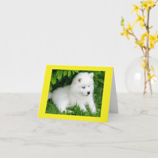 White Samoyed Puppy Dog Blank Note Card Kaart (Gele Bloem)