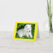 White Samoyed Puppy Dog Blank Note Card Kaart (Voorkant)