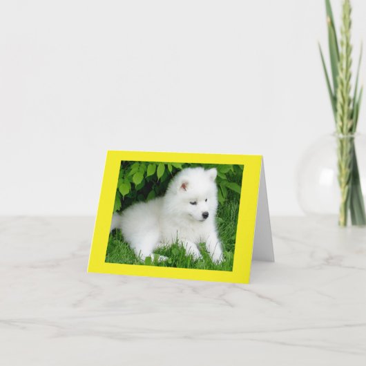 White Samoyed Puppy Dog Blank Note Card Kaart (Voorkant)