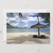 White Sand Beach and Umbrella (Voorkant)