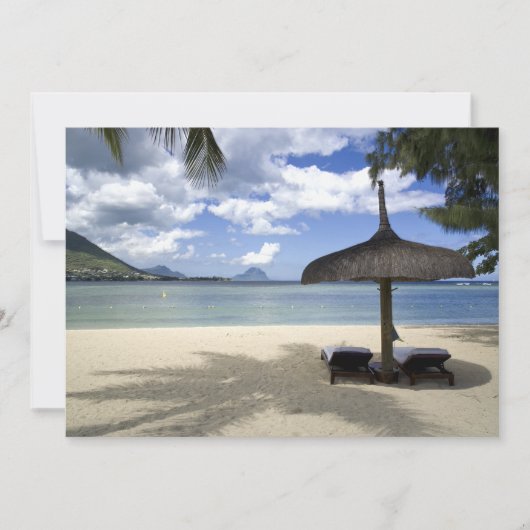 White Sand Beach and Umbrella (Voorkant)
