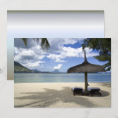 White Sand Beach and Umbrella (Voorkant / Achterkant)