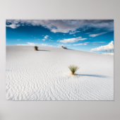 White Sands Blue Sky Yucca, New Mexico Poster (Voorkant)