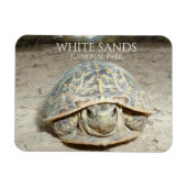 White Sands Desert Box Turtle Magneet (Horizontaal)