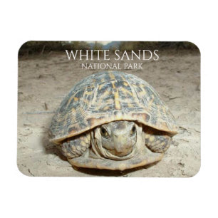 White Sands Desert Box Turtle Magneet
