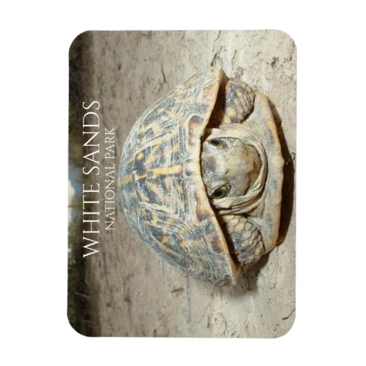 White Sands Desert Box Turtle Magneet (Verticaal)