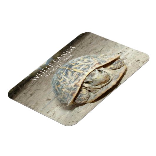 White Sands Desert Box Turtle Magneet (Linkerzijde)