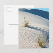 White Sands Desert Dunes Landschap Briefkaart (Voorkant / Achterkant)