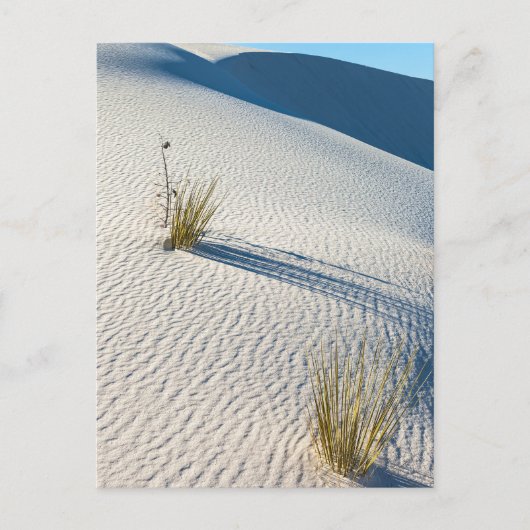 White Sands Desert Dunes Landschap Briefkaart (Voorkant)