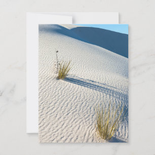 White Sands Desert Dunes Landschap Briefkaart