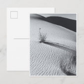 White Sands Dunes Landschap Zwart-wit Briefkaart (Voorkant / Achterkant)