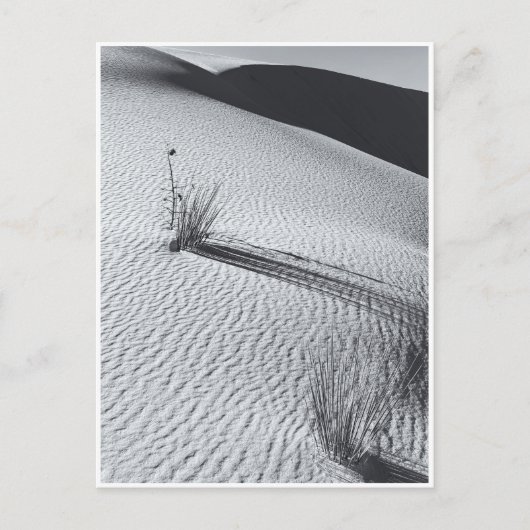 White Sands Dunes Landschap Zwart-wit Briefkaart (Voorkant)