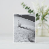 White Sands Dunes Landschap Zwart-wit Briefkaart (Staand voorkant)