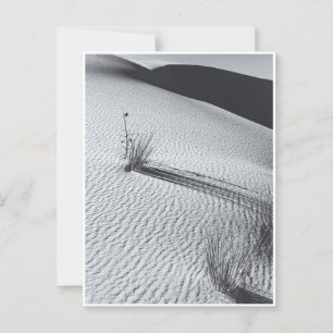 White Sands Dunes Landschap Zwart-wit Briefkaart