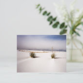White Sands Morning postcard Briefkaart (Staand voorkant)